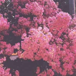 Meet your Posher, Jade